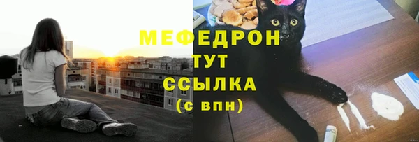 мдпв Володарск