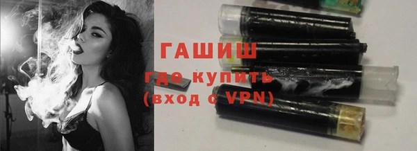 молекула духа Новозыбков