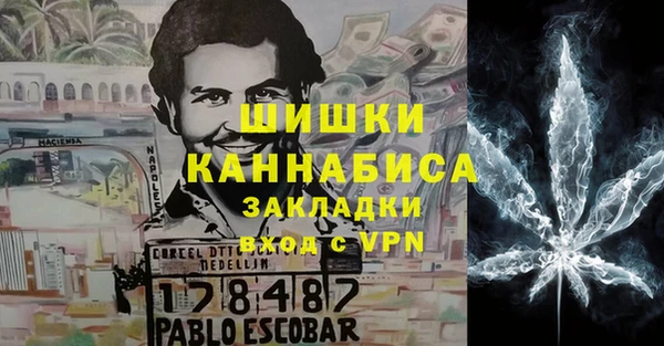 молекула духа Новозыбков