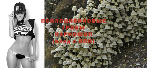 меф Новодвинск