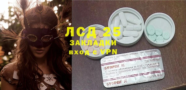 молекула духа Новозыбков
