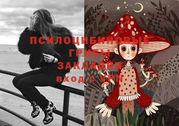 шишки Новокубанск