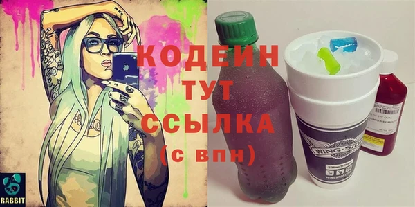 молекула духа Новозыбков