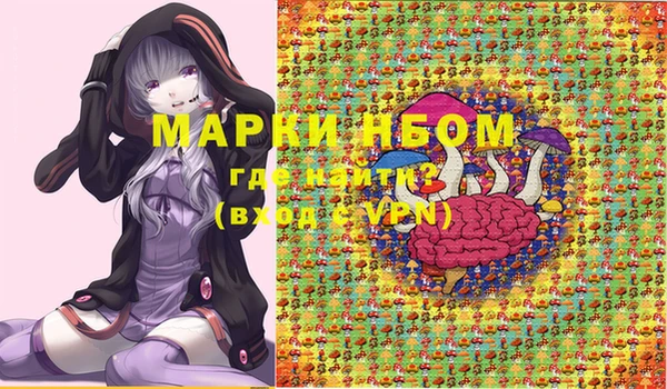 молекула духа Новозыбков