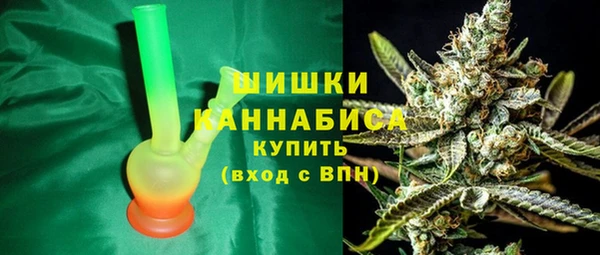 шишки Новокубанск