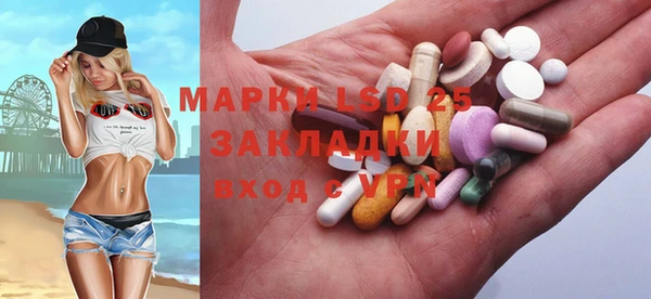 молекула духа Новозыбков