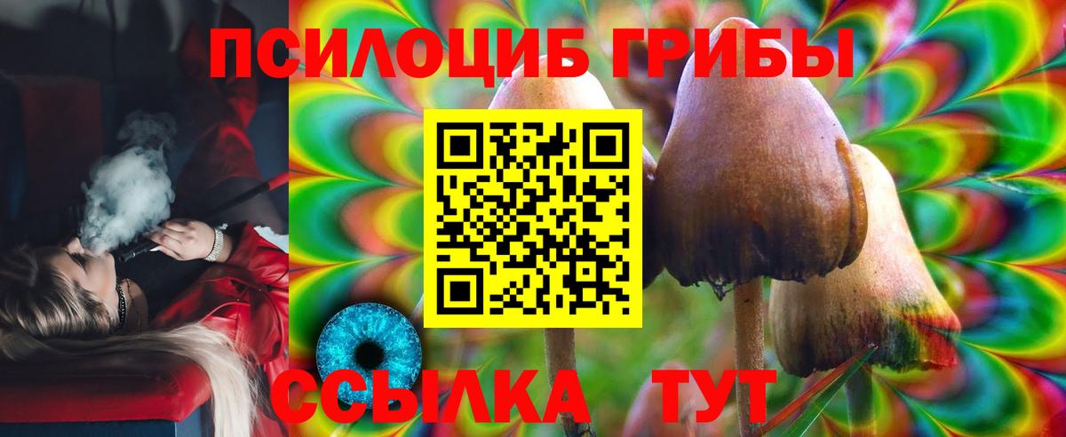 Псилоцибиновые грибы GOLDEN TEACHER Светлоград